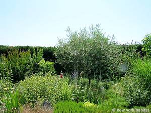 Sud de la France - Provence - Luberon - T4 - Villa appartement location vacances - autre (PR-981) photo 21 sur 28