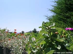 Sud de la France - Provence - Luberon - T4 - Villa appartement location vacances - autre (PR-981) photo 24 sur 28