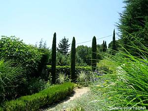 Sud de la France - Provence - Luberon - T4 - Villa appartement location vacances - autre (PR-981) photo 25 sur 28