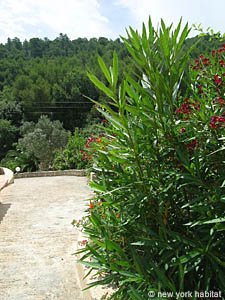 S&uuml;dfrankreich - C&ocirc;te d'Azur - 5 Zimmer - Villa ferienwohnung - andere (PR-985) photo 38 von 40