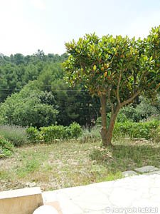 S&uuml;dfrankreich - C&ocirc;te d'Azur - 5 Zimmer - Villa ferienwohnung - schlafzimmer 2 (PR-985) photo 6 von 8