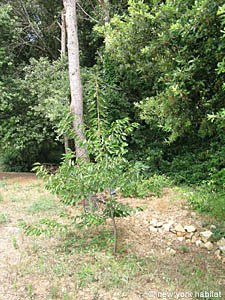 S&uuml;dfrankreich - C&ocirc;te d'Azur - 5 Zimmer - Villa ferienwohnung - andere (PR-985) photo 24 von 40