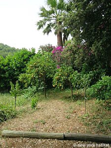 S&uuml;dfrankreich - C&ocirc;te d'Azur - 5 Zimmer - Villa ferienwohnung - andere (PR-985) photo 32 von 40