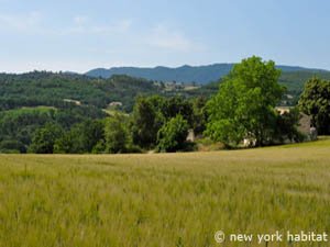 Sud de la France - Provence - T5 - Mas appartement bed breakfast - autre (PR-1047) photo 35 sur 35 Sud de la France - Provence - T5 - Mas appartement bed breakfast - autre (PR-1047) photo 35 sur 35