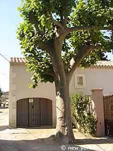 Sud de la France - Provence - T3 appartement location vacances - autre (PR-1078) photo 4 sur 7