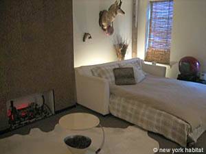 Alojamiento en Nueva York: Estudio - East Village - Lower East Side (NY-9803)