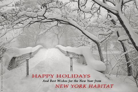 Central Park Bow Bridge - Happy Holidays