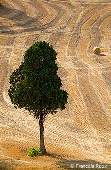 A Writer’s Retreat in the South of France