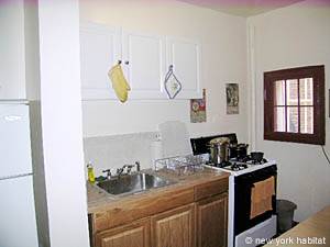 Harlem 5 bedroom apartment