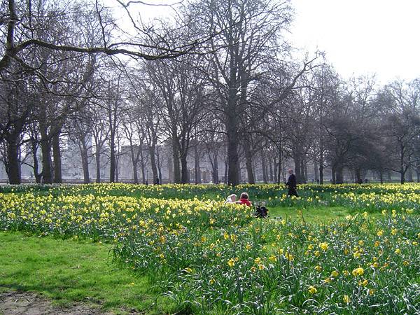 Green Park London, England Pict
