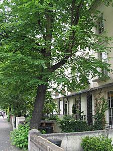 Notting Hill, London Pict