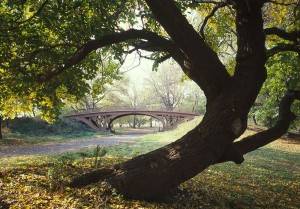 Central Park New York