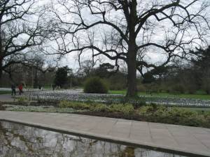 Photo The Royal Botanical Gardens, Kew
