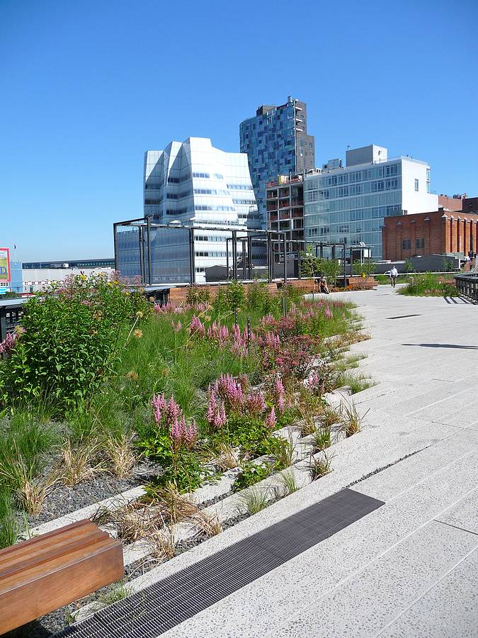 New York's High-line park