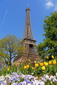 Photo of the Eiffel Tower in the Spring