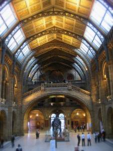 London Museum of Natural History Dinosaur hall