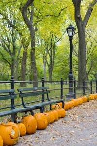 New York at Halloween