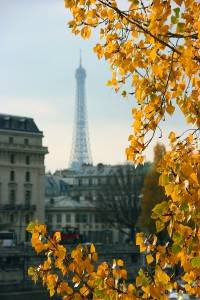 Paris and the Eiffel Tower in the Fall