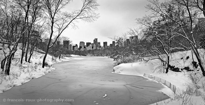 Central Park in The Winter