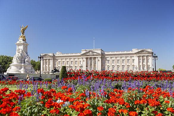 Picture of a flower garden with London’s Buckingham Palace in the background
