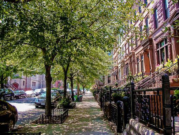 Image of brownstone houses in Bedford-Stuyvesant, Brooklyn