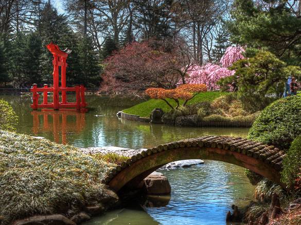 Picture of the Brooklyn Botanic Garden in New York City