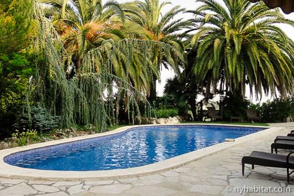 Image of the garden and swimming pool of a villa in La Gaude