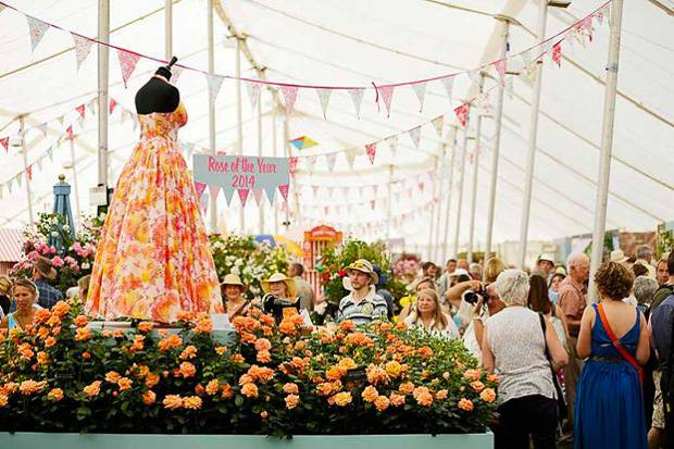 Image of flowers at Hampton Court Flower Festival.