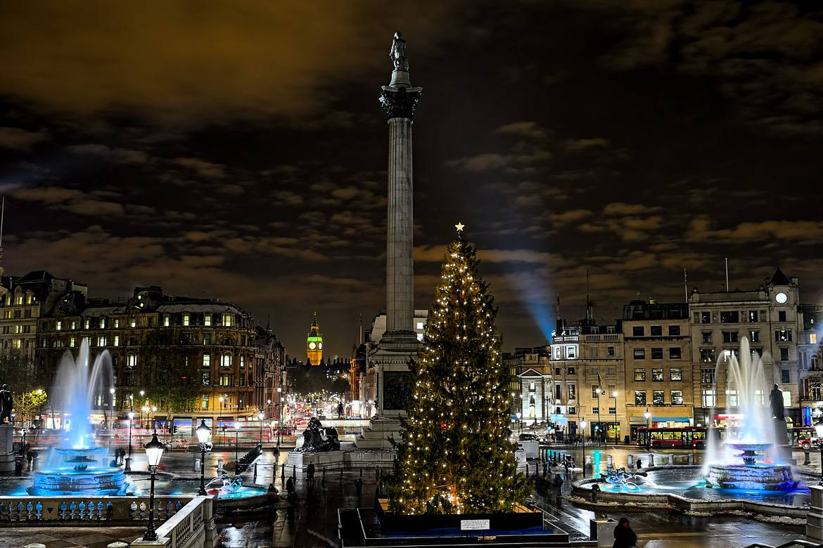 London’s giant Trafalgar Square Christmas tree