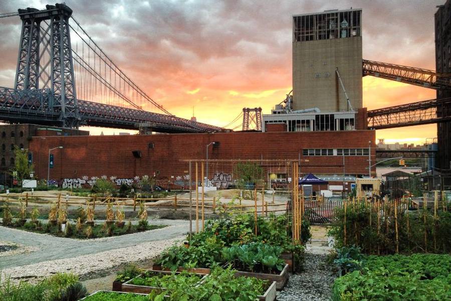 Image of North Brooklyn Farms