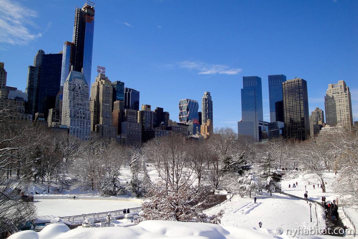 Image of Central Park in winter