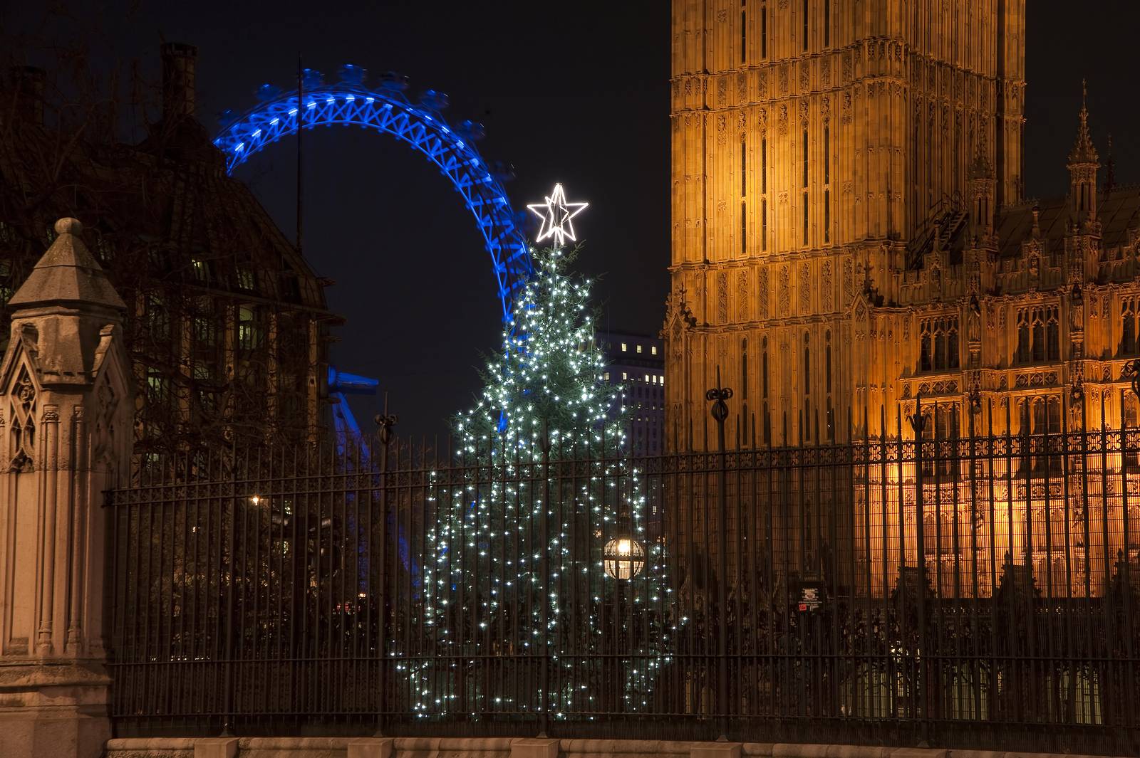 Image of a Christmas tree outside Parliament