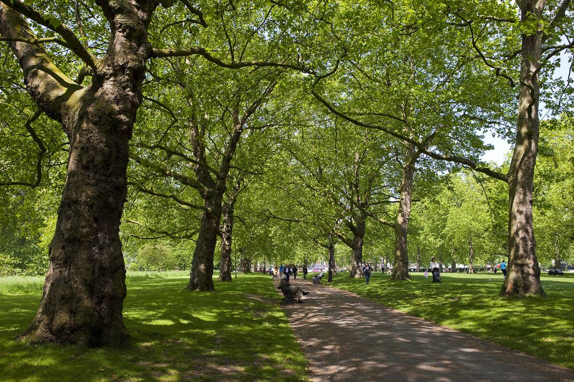 Image of Green Park