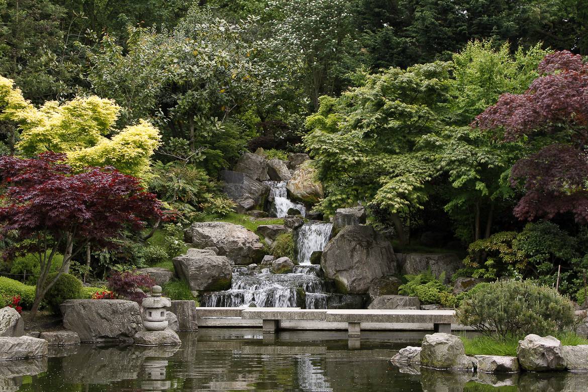 Image of Kyoto Garden in Holland Park