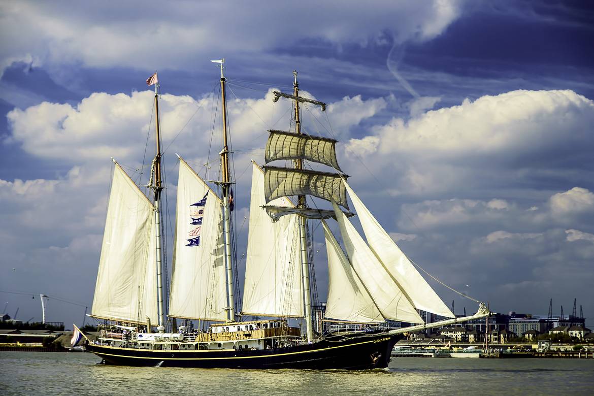 Image of Tall Ships Regatta