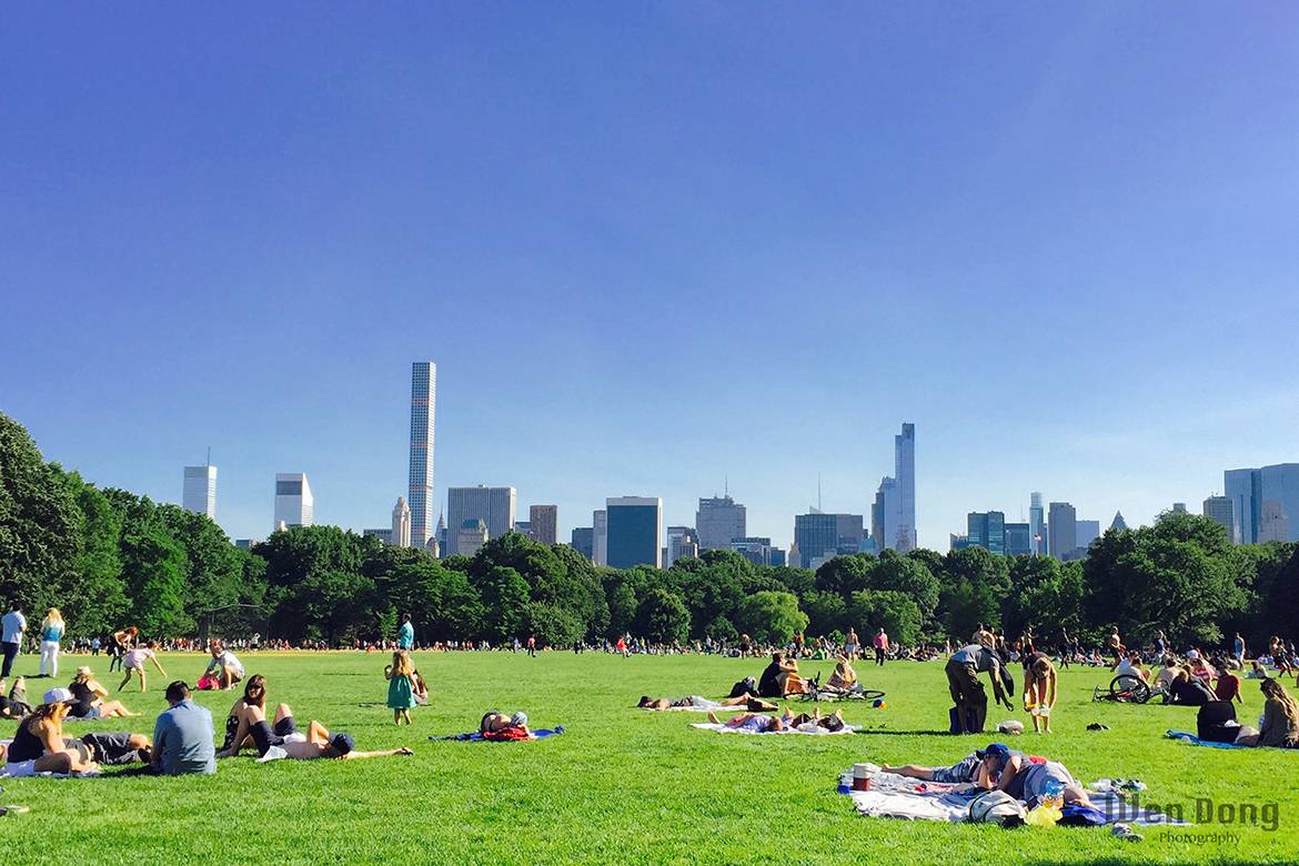 Image of Central Park
