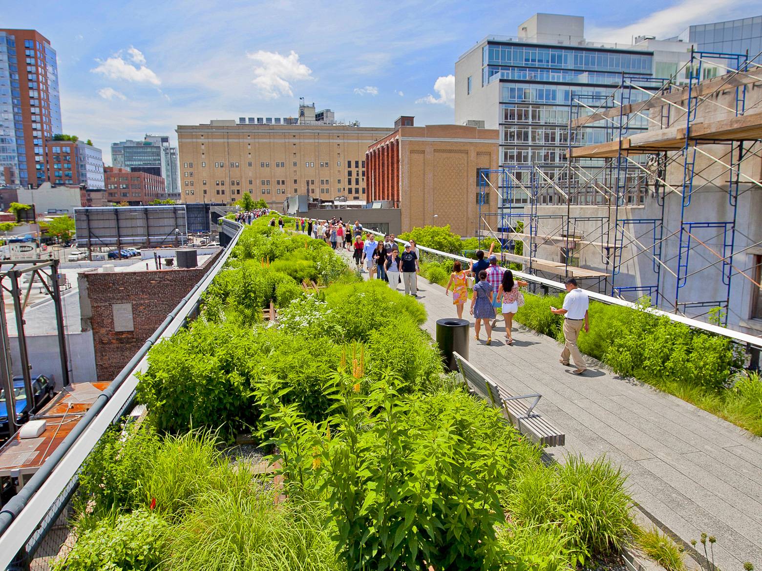 Image of the High Line