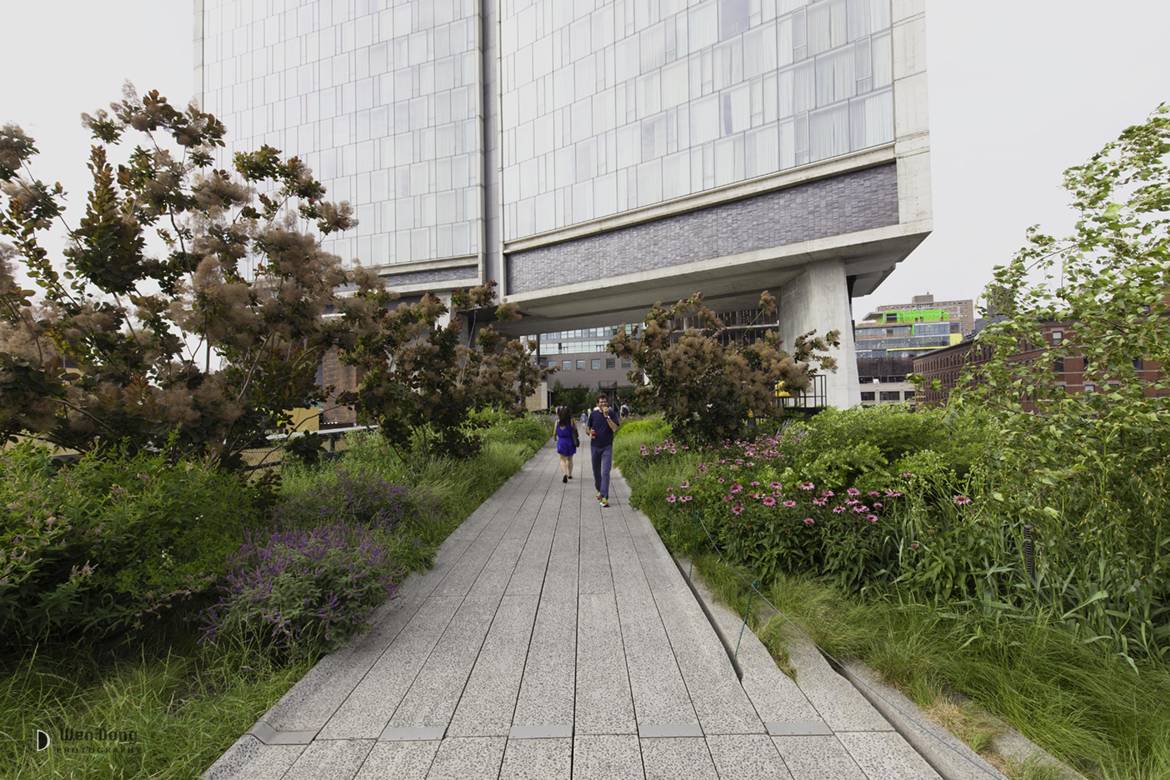 Image of the High Line underneath the Standard Hotel