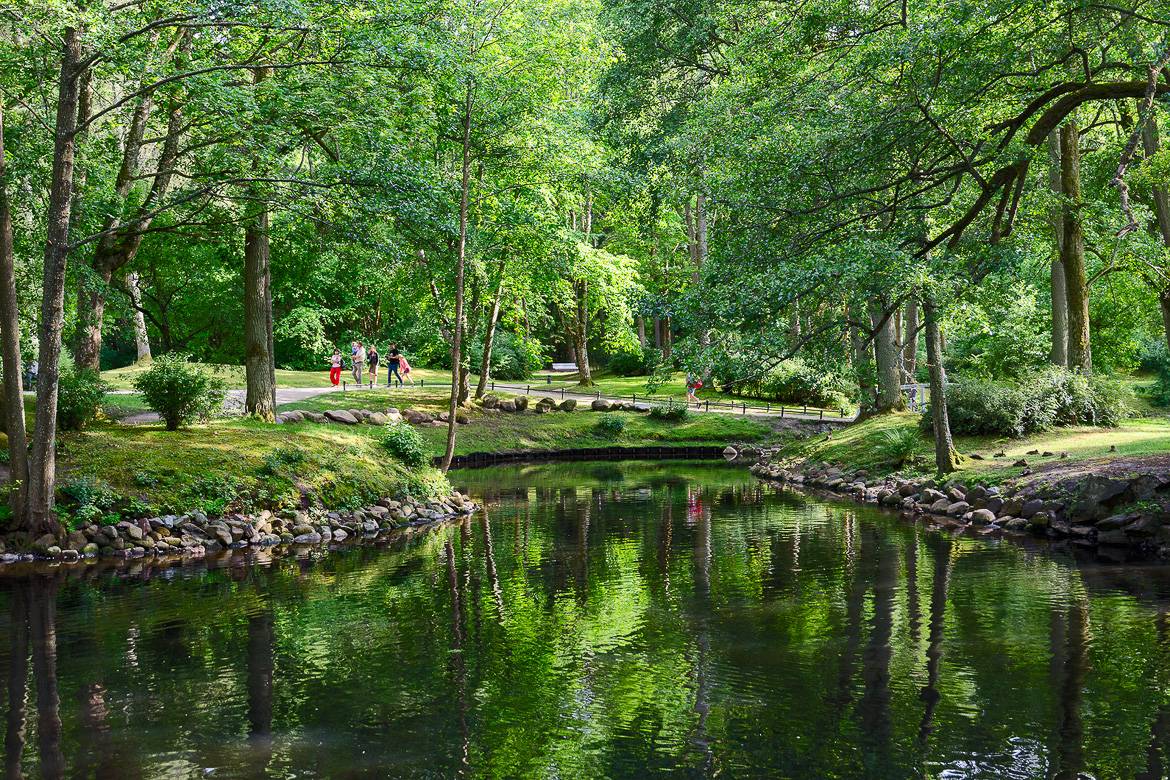 Image of a park