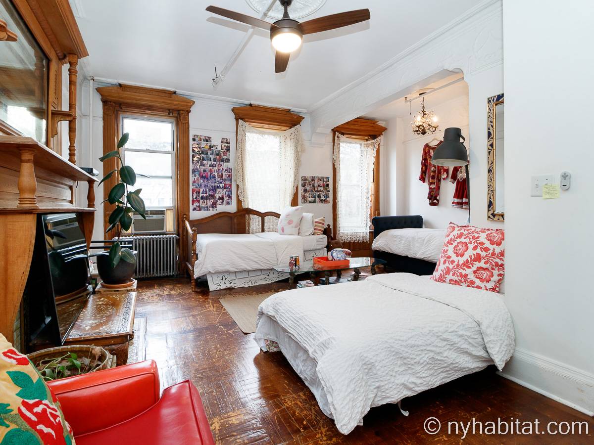Cosy and charming one-bedroom apartment in Bedford-Stuyvesant, perfect for a small family Thanksgiving stay. (NY-14321)