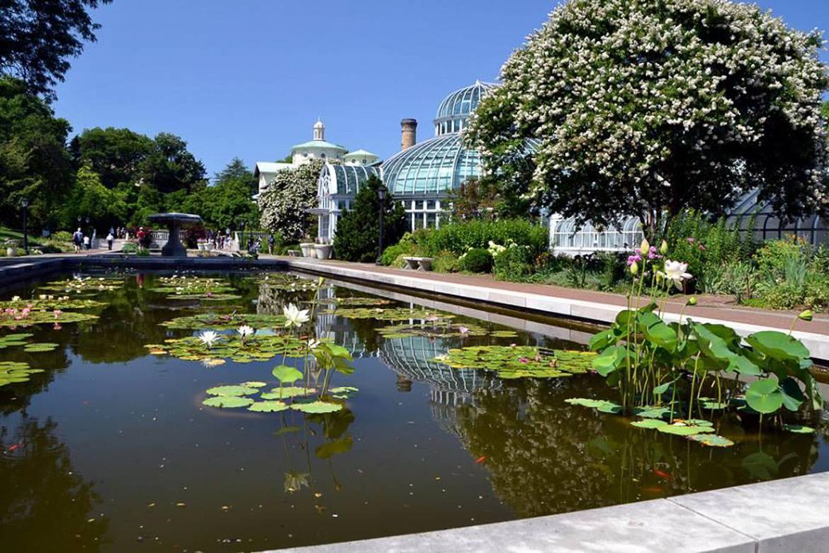 Image of exhibit at Brooklyn Botanic Garden.