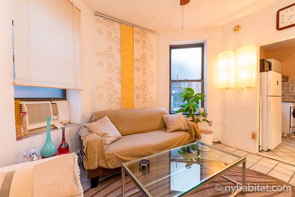Image of living room in roommate share apartment NY-14875
