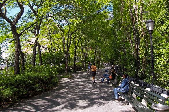 Image of jogger and people sitting on benches on a path under trees in Battery Park