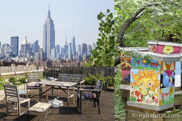 Collage of rooftop of NY-3201 with Empire State Building view, rooftop vegetable garden and colorfully painted beehives