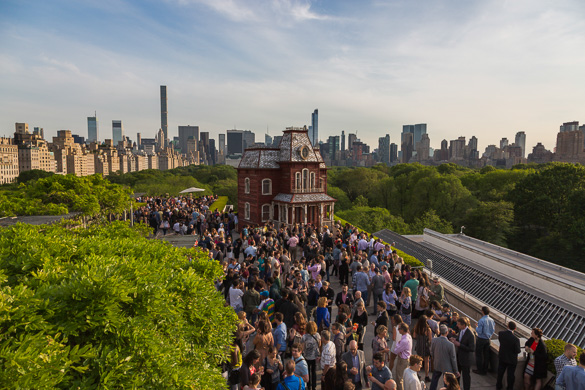 Image of the Metropolitan Museum’s roof by Central Park