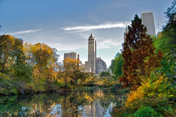 Image of lake in Central Park with buildings in the background