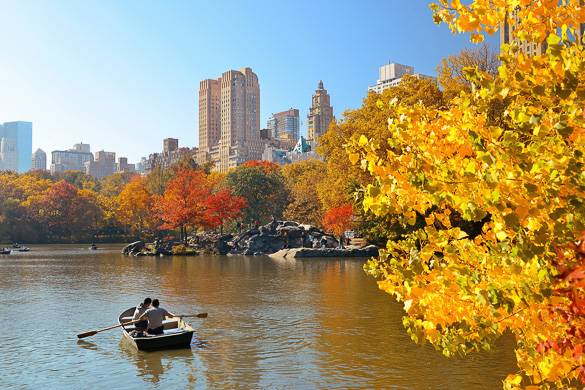 Image of people boating on a lake in Central Park with buildings and trees with fall colors in the background