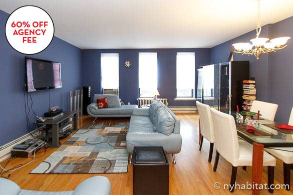 Image of sofas in the living room of Harlem two bedroom apartment NY-15873