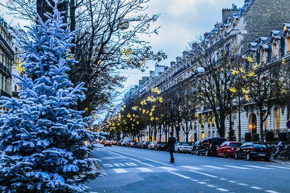 Image of a Paris street with yellow Christmas lights and a white tree