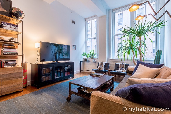 Image of living room of NY-17156 in DUMBO Brooklyn